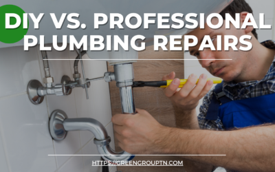 DIY vs. Professional Plumbing Repairs: When to Call in the Pros