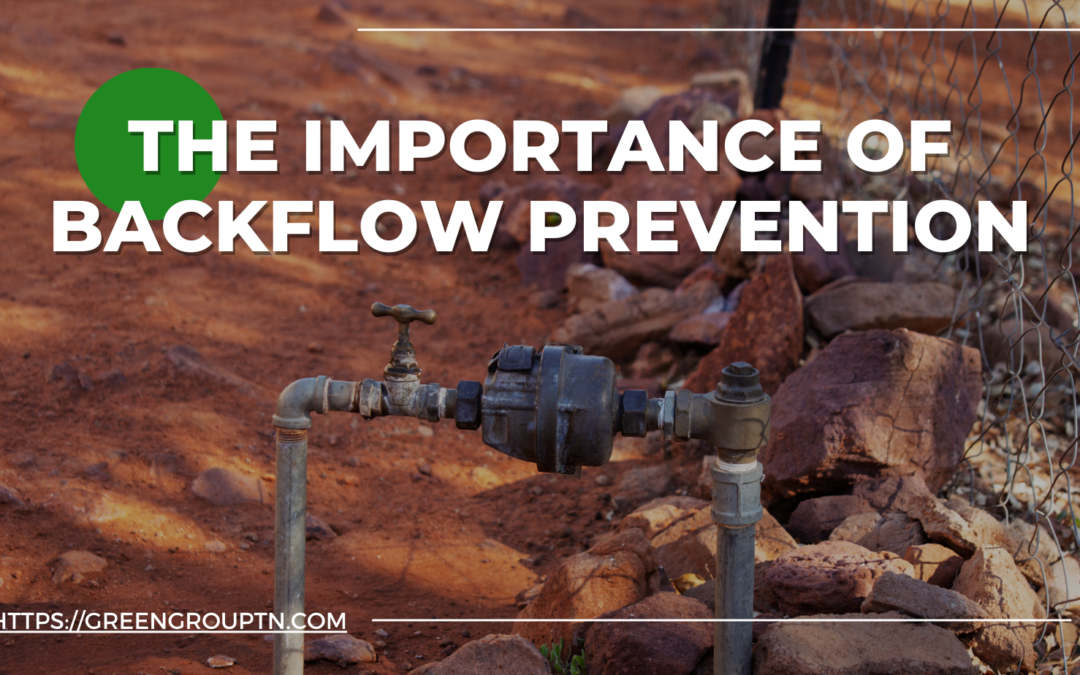 Backflow Prevention: Safeguarding Your Home’s Water Supply