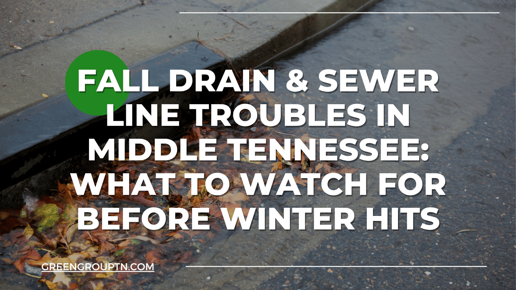 Rainwater and autumn leaves near a storm drain, illustrating common fall drain and sewer line issues in Middle Tennessee before winter.