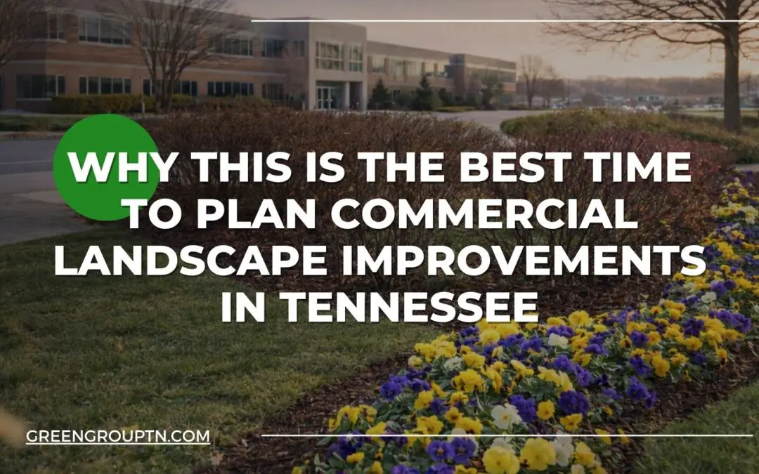 Why February Is the Best Time to Plan Commercial Landscape Improvements in Tennessee